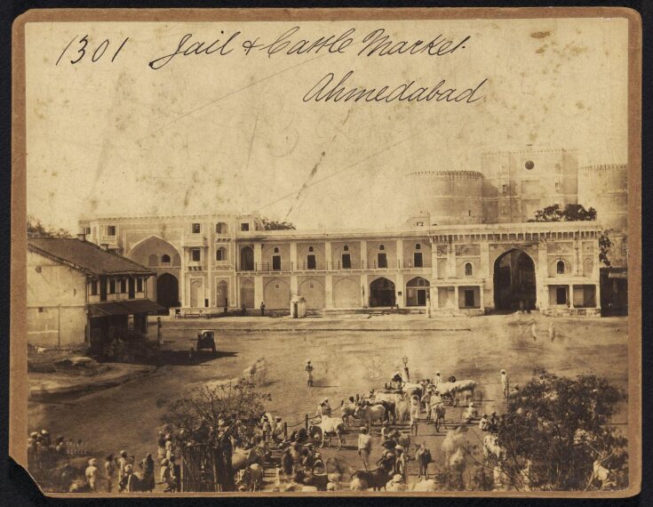 Jail & Cattle Market Ahmedabad top image