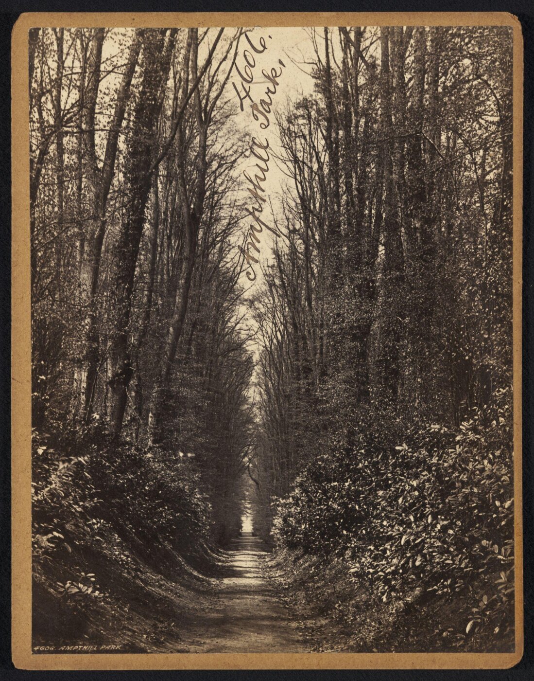Francis Frith, Ampthill Park