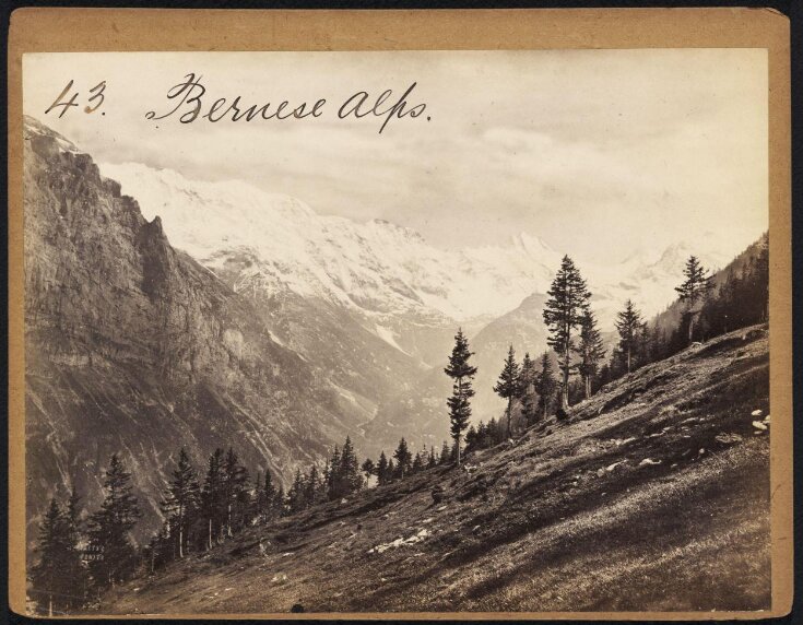 Bernese Alps top image