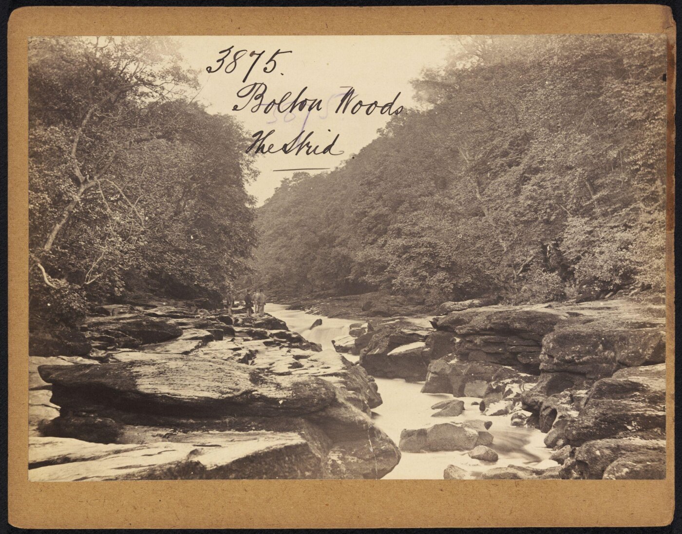 Francis Frith, Bolton Woods. The Strid