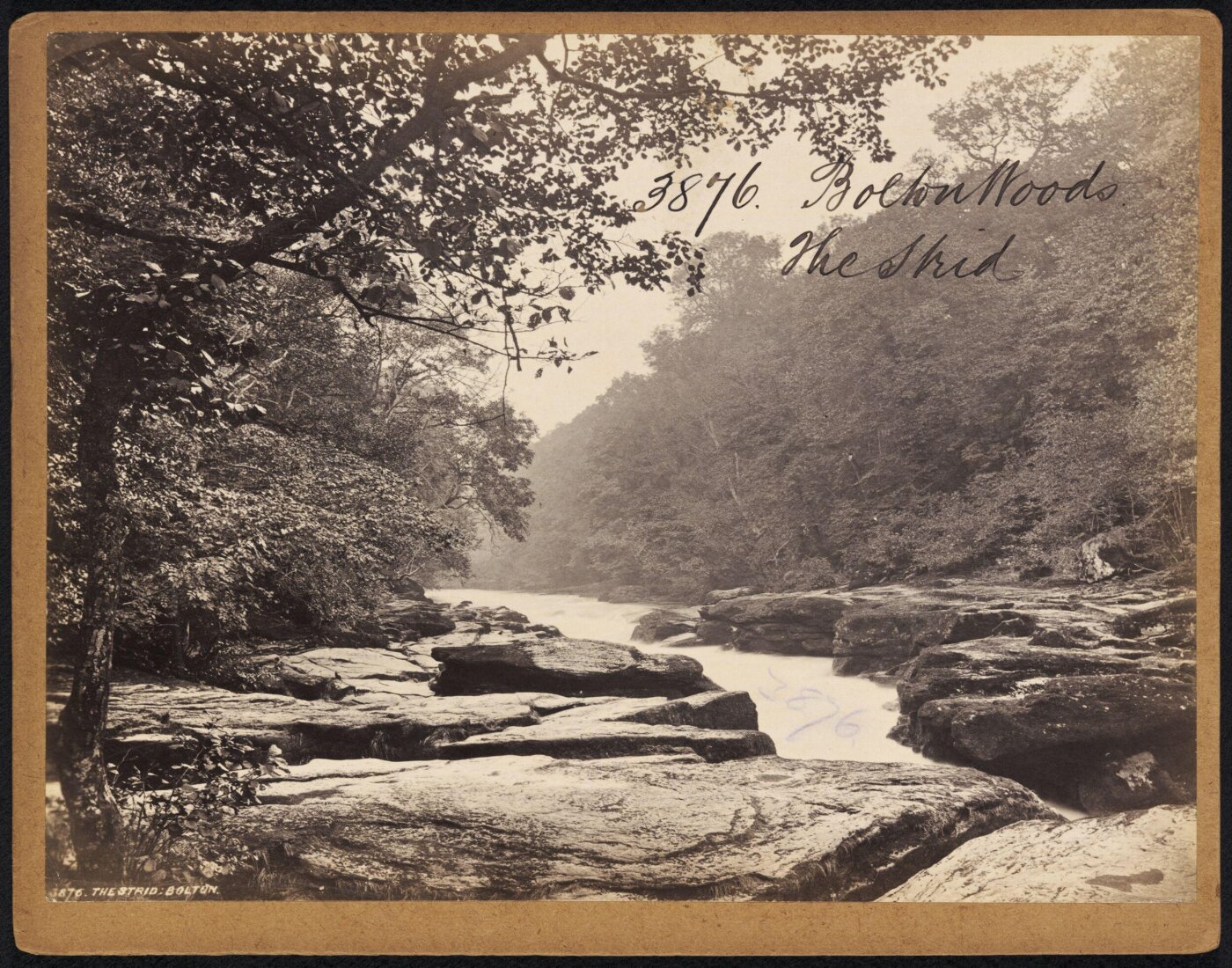 Francis Frith, Bolton Woods. The Strid