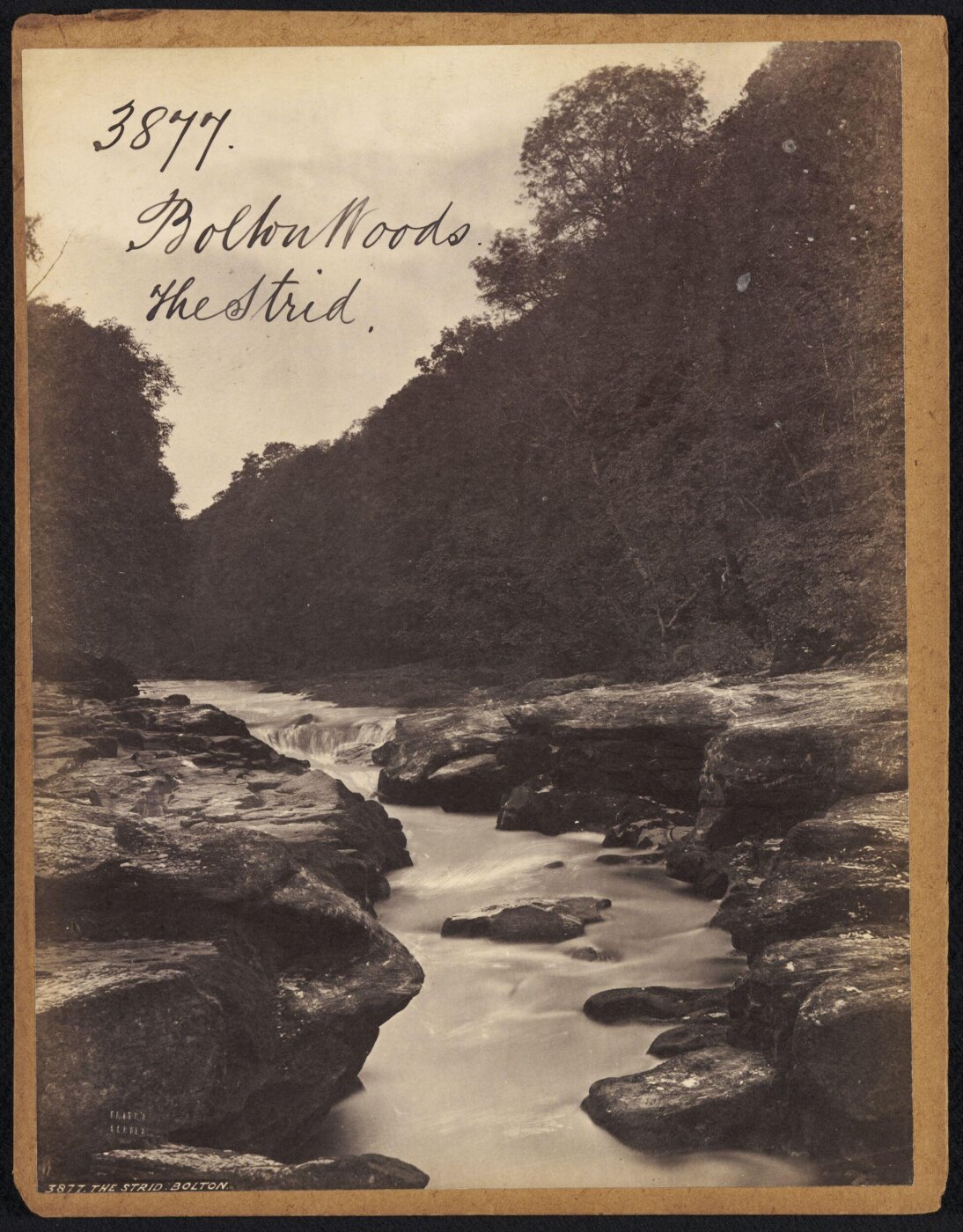 Francis Frith, Bolton Woods. The Strid