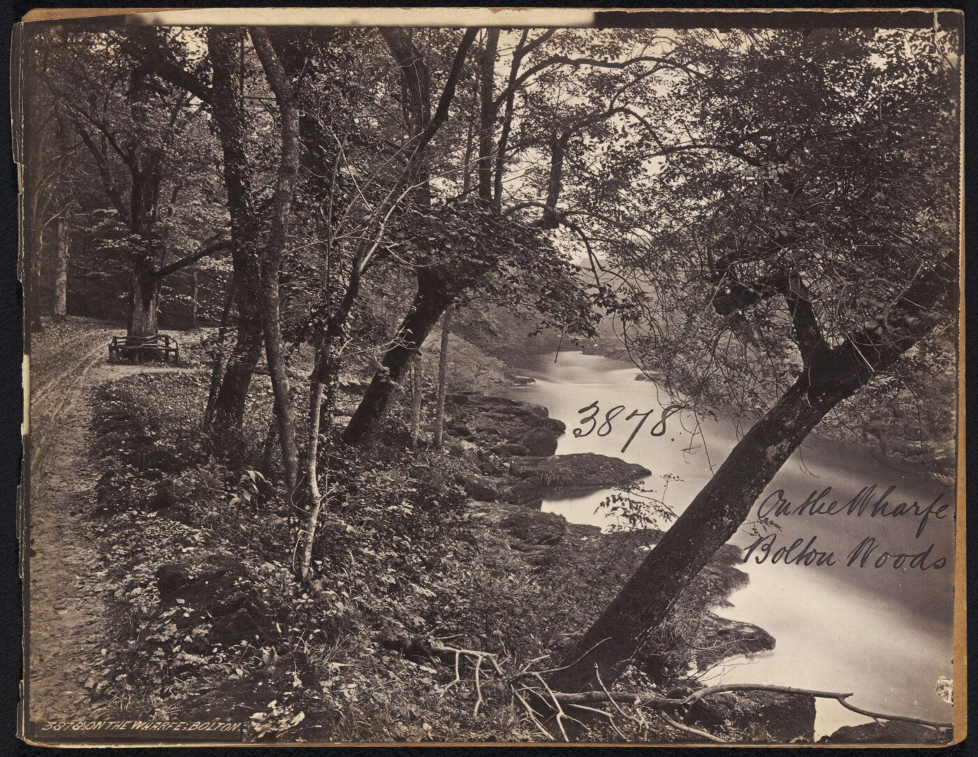 Francis Frith, On the Wharfe.  Bolton Woods