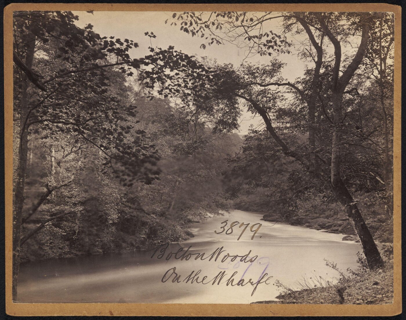 Francis Frith, Bolton Woods. On the Wharfe