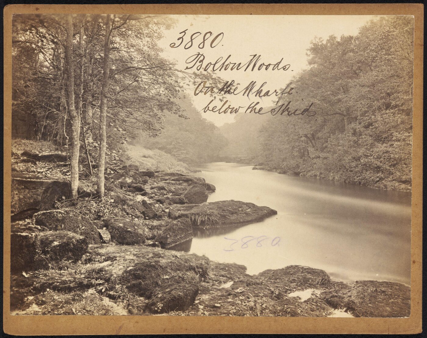 Francis Frith, Bolton Woods. On the Wharfe, below the Strid