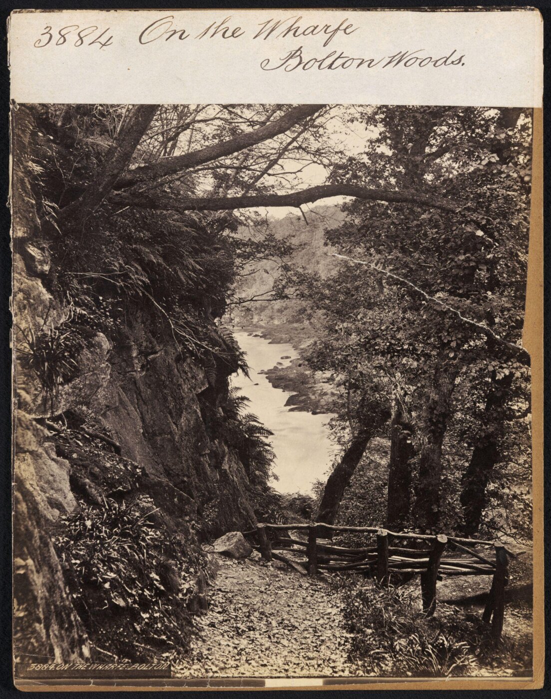 Francis Frith, On the Wharfe.  Bolton Woods