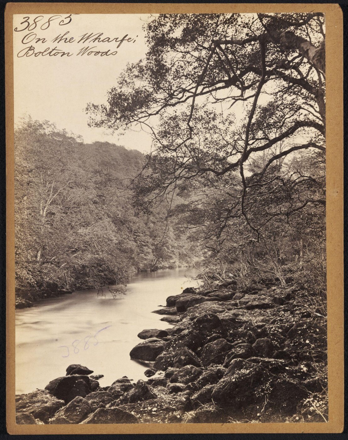 Francis Frith, On the Wharfe; Bolton Woods