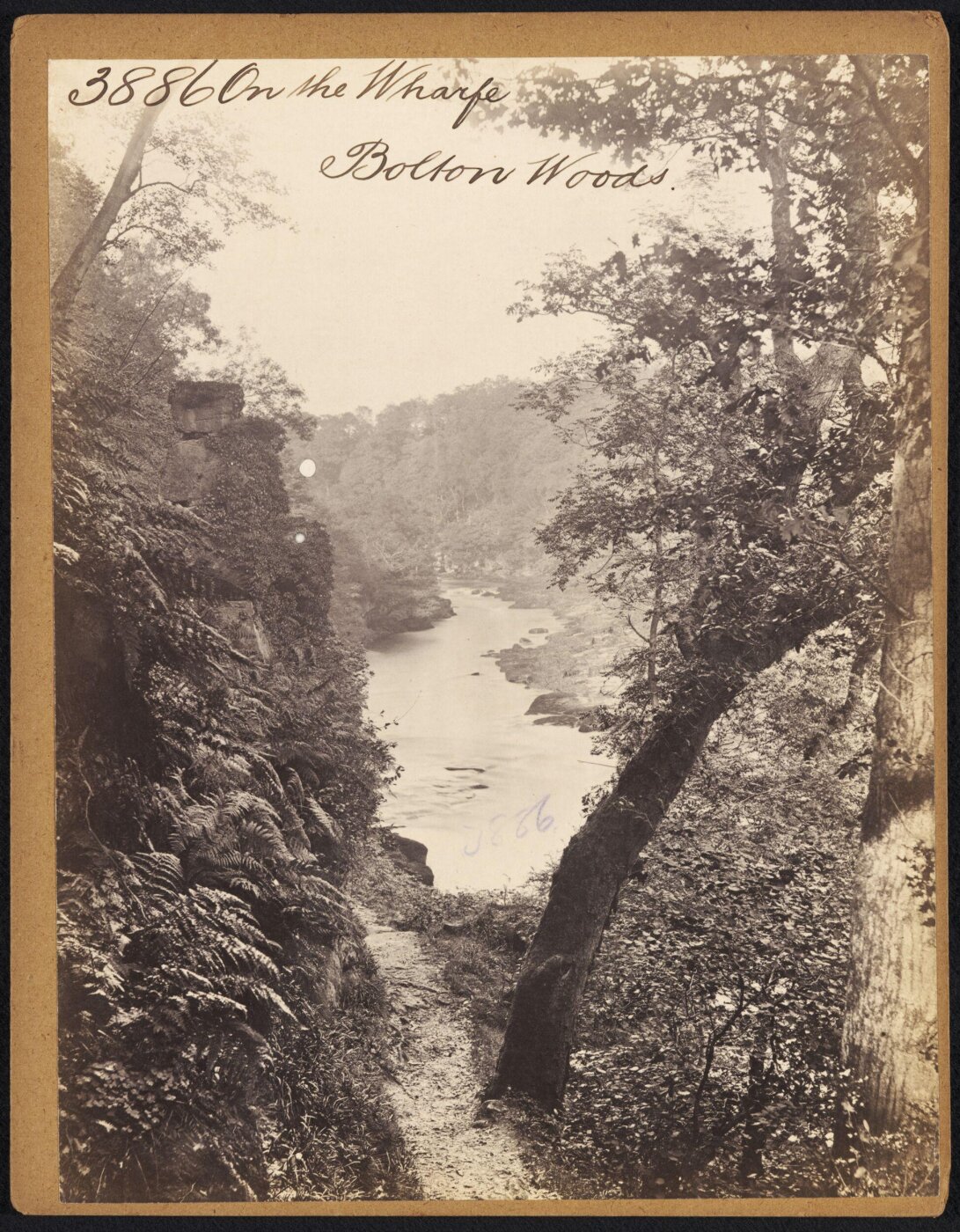 Francis Frith, On the Wharfe.  Bolton Woods