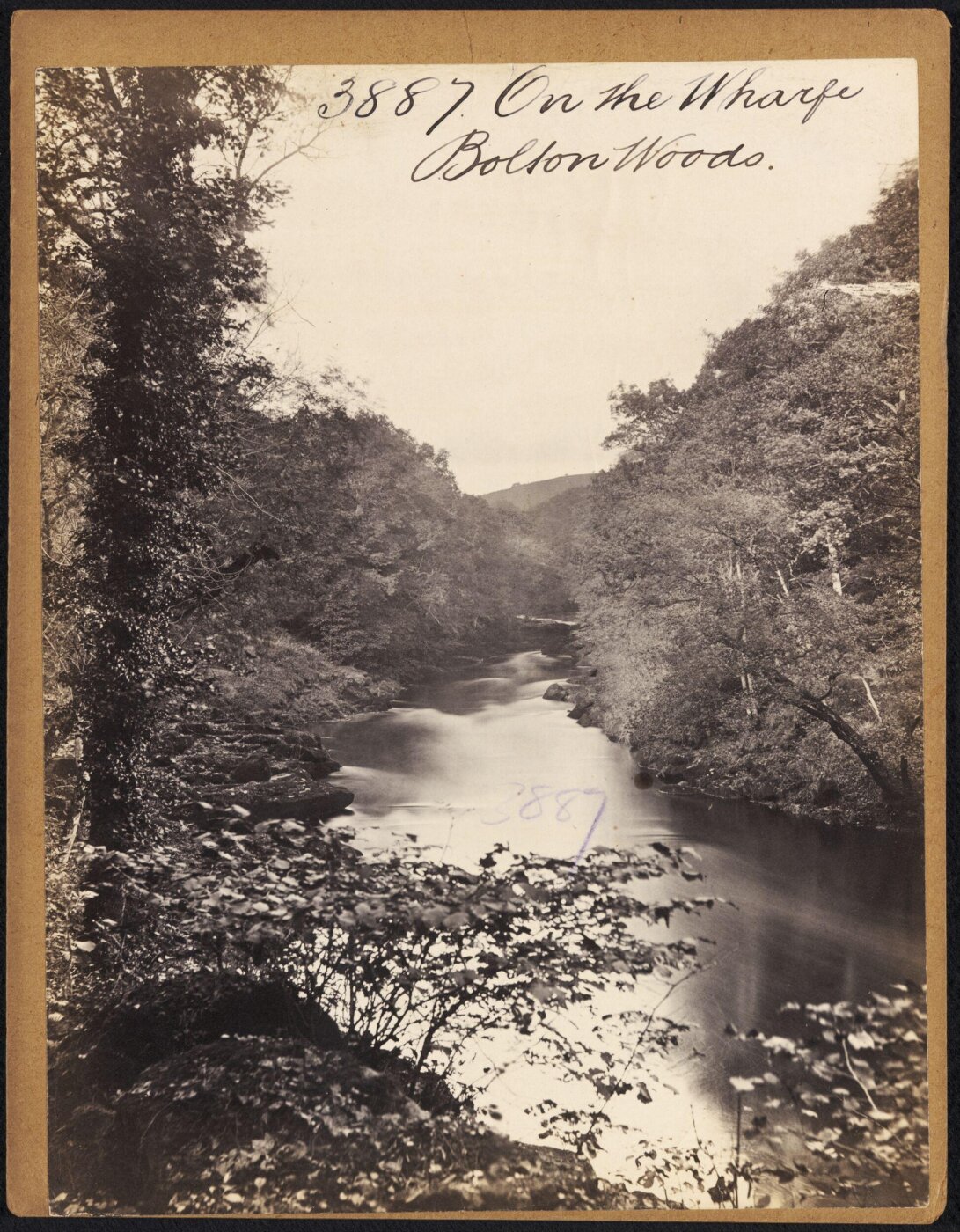 Francis Frith, On the Wharfe.  Bolton Woods