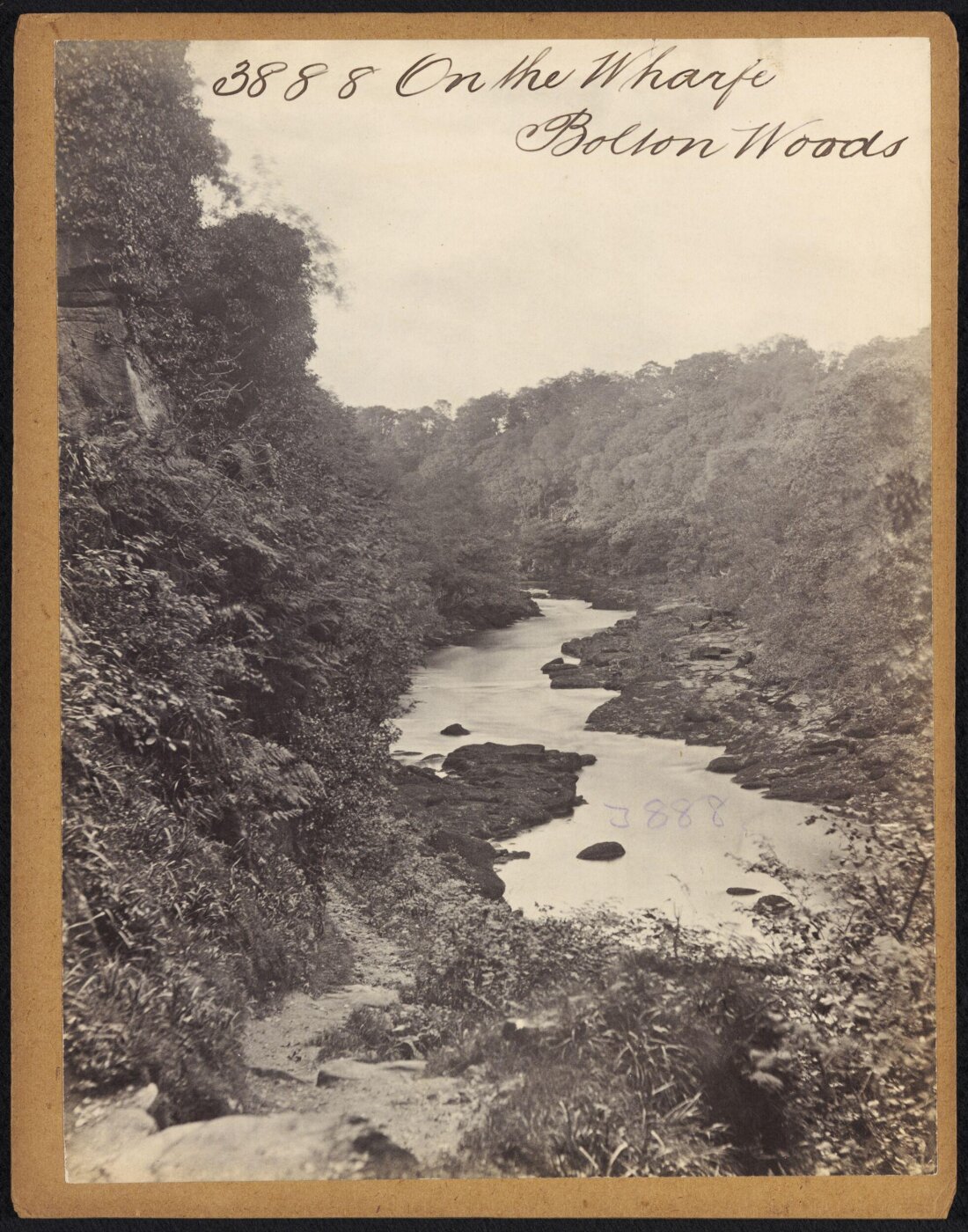 Francis Frith, On the Wharfe.  Bolton Woods