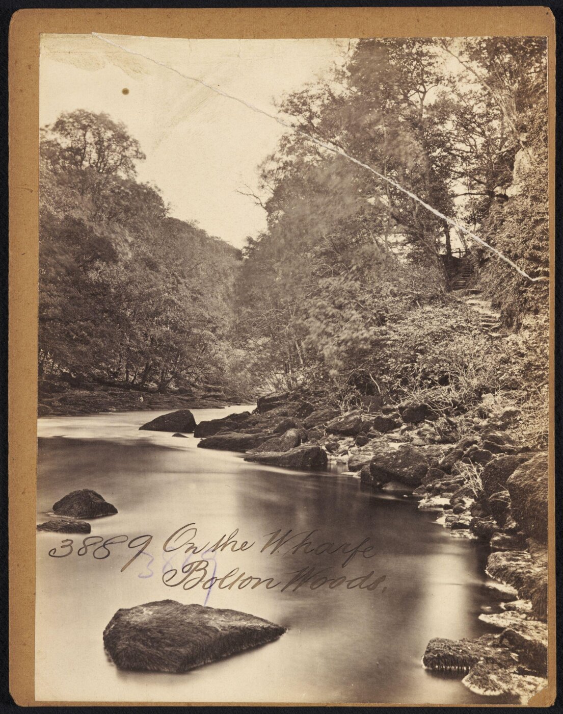Francis Frith, On the Wharfe.  Bolton Woods