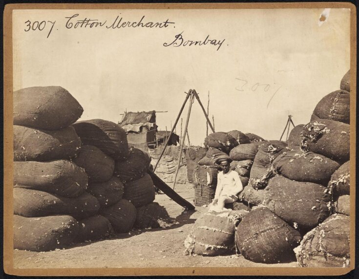 Cotton Merchant.  Bombay top image