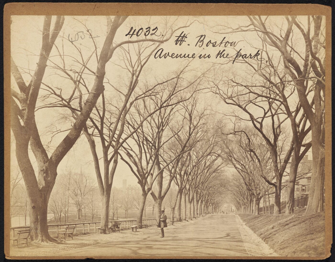 Francis Frith, Boston. Avenue in the park
