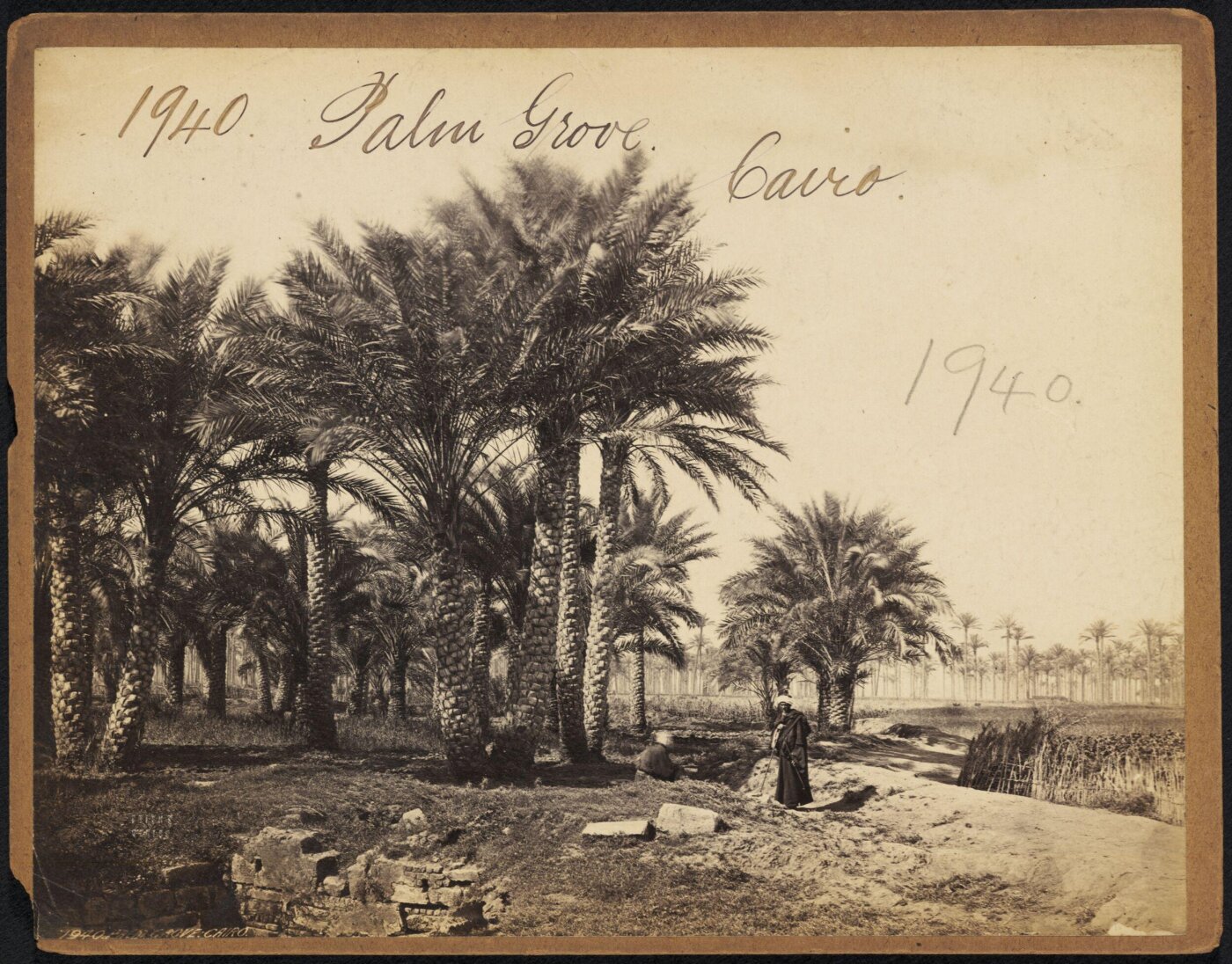 Francis Frith, Palm Grove.  Cairo