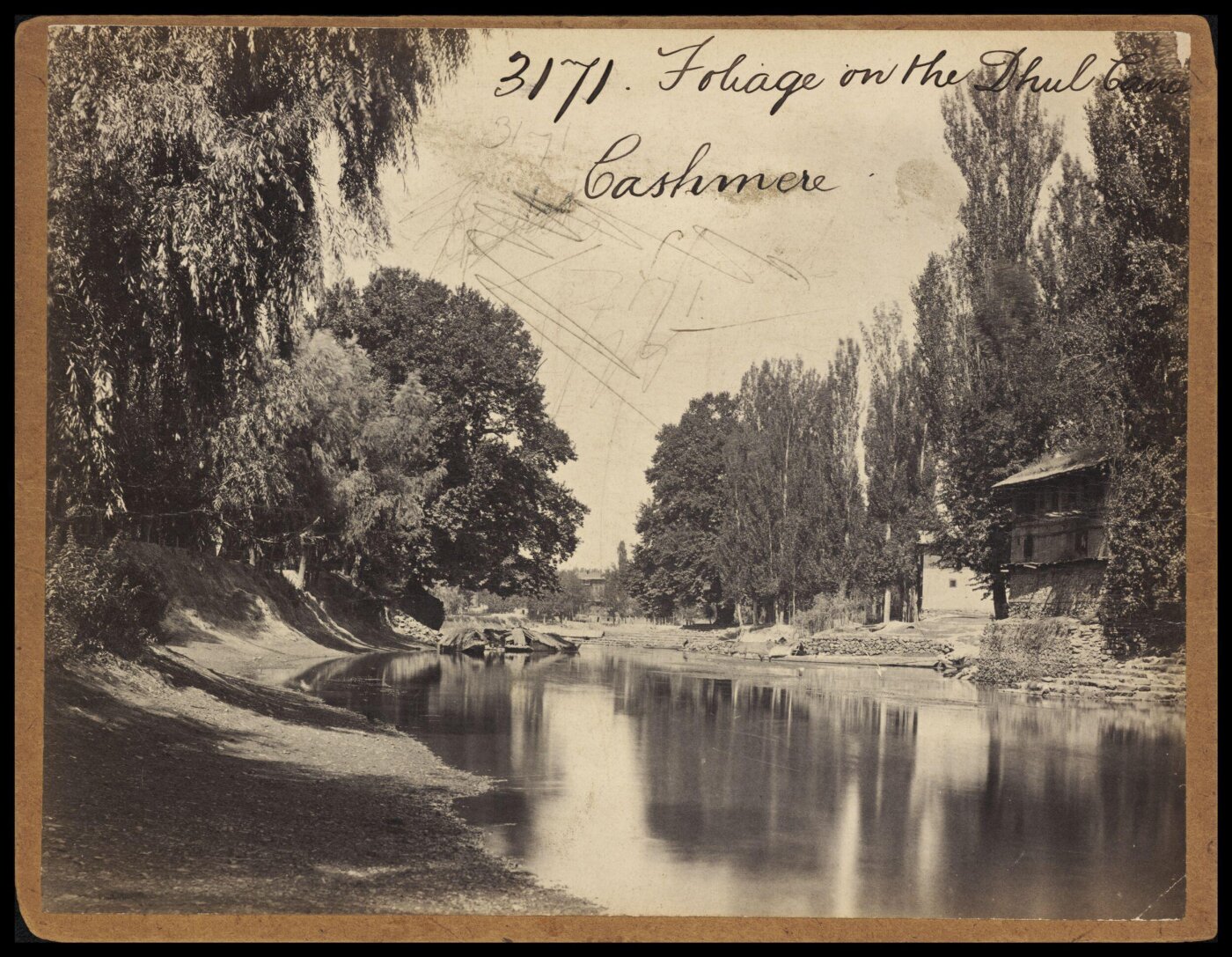 Francis Frith, Foliage on the Dhul Canal. Cashmere