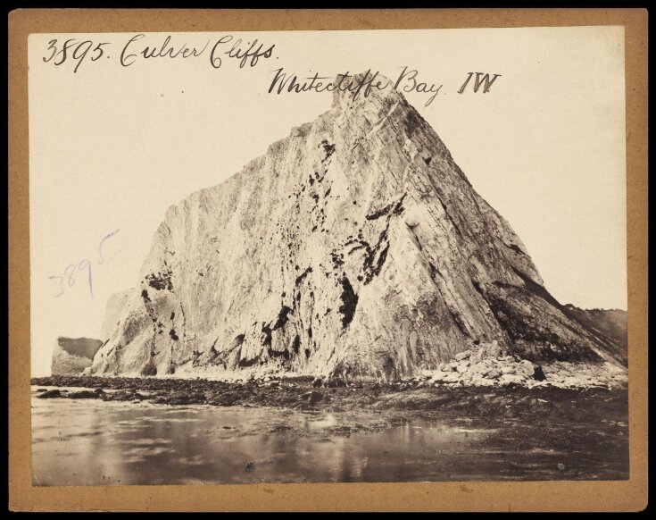 Culver Cliffs.  Whitecliff Bay.  IW top image