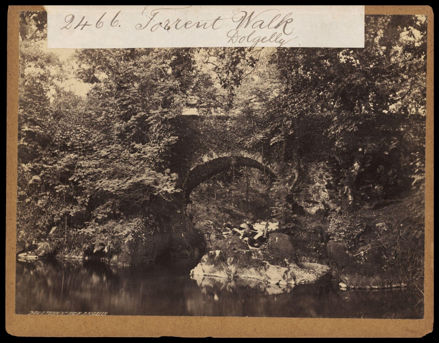 Francis Frith, Torrent Walk. Dolgelly