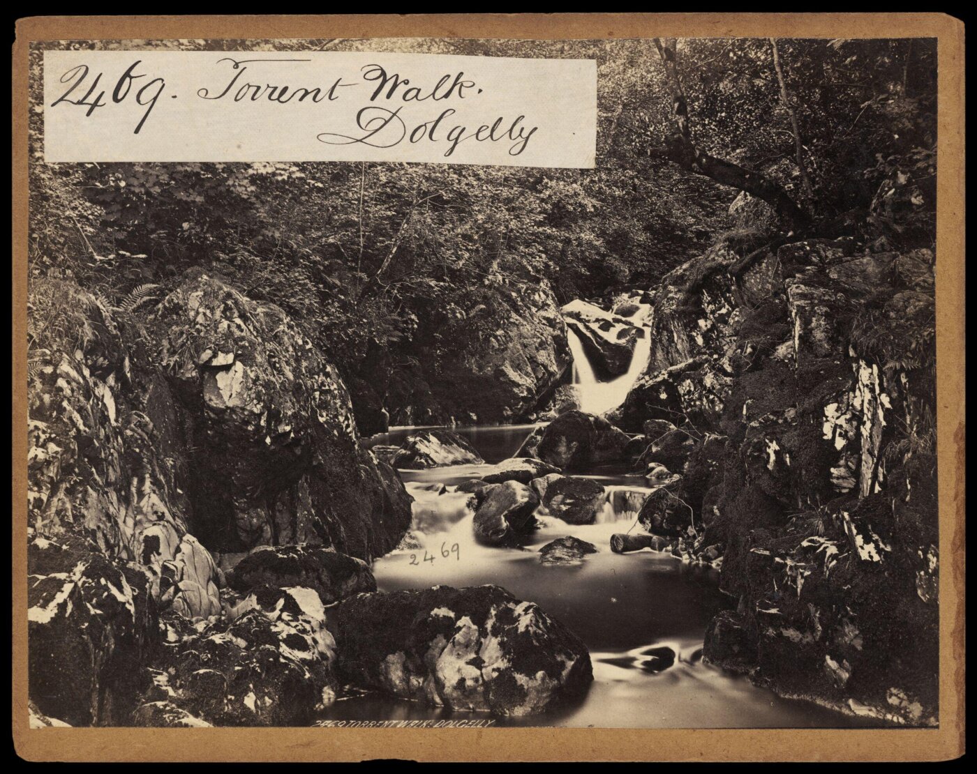 Francis Frith, Torrent Walk. Dolgelly