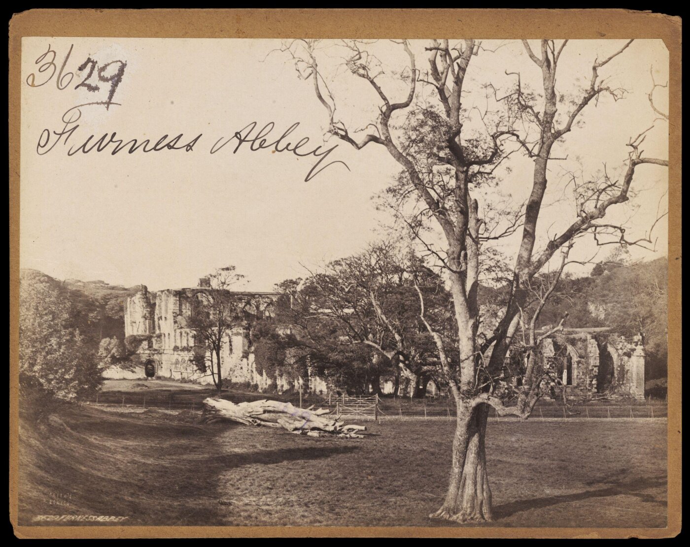 Francis Frith, Furness Abbey