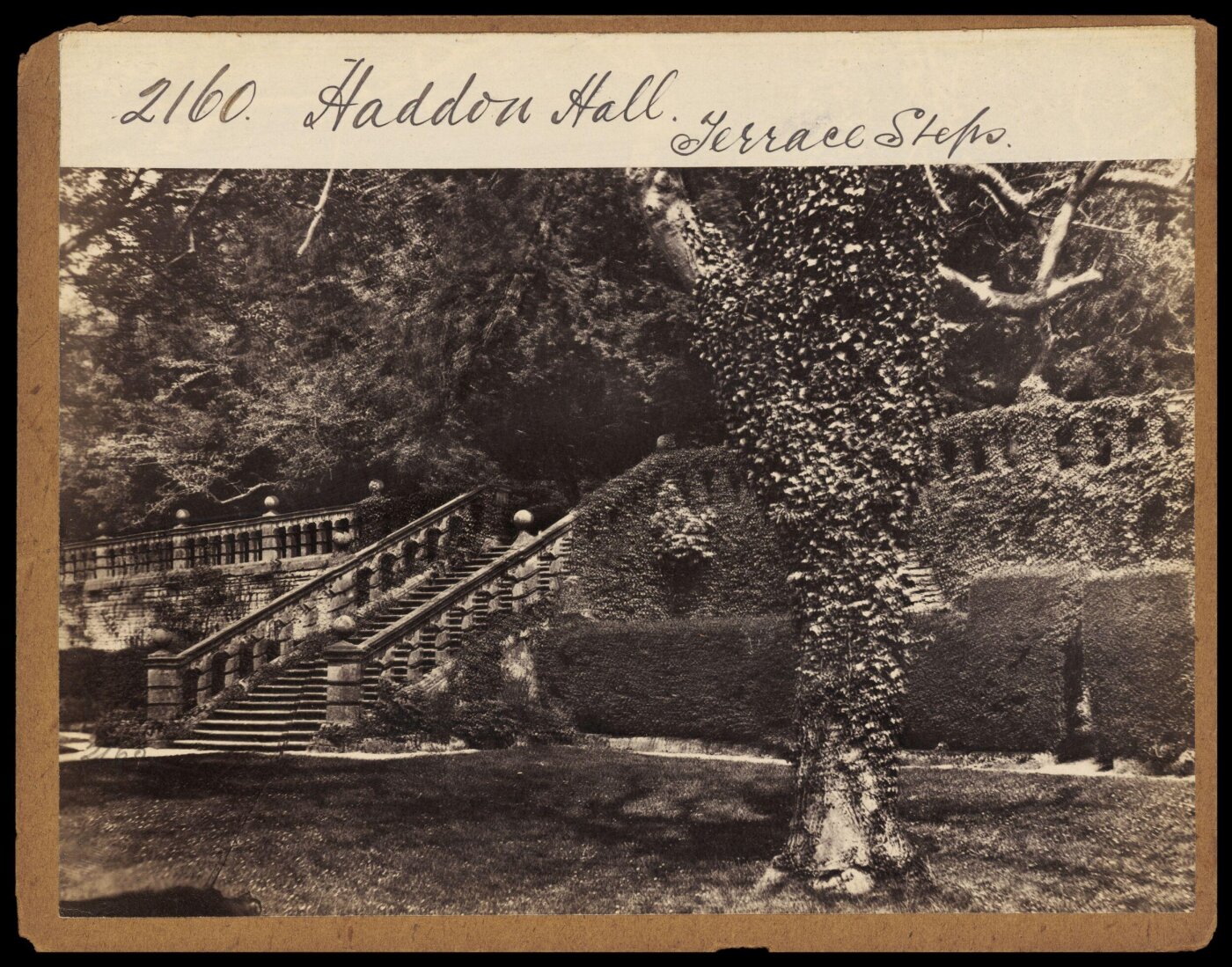 Francis Frith, Haddon Hall. Terrace Steps