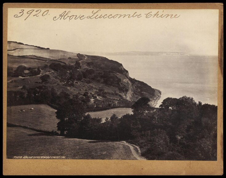 Above Luccombe Chine top image