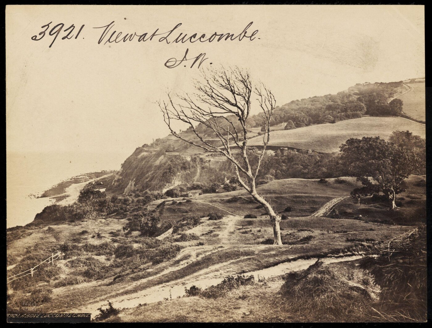 Francis Frith, View at Luccombe. I.W.