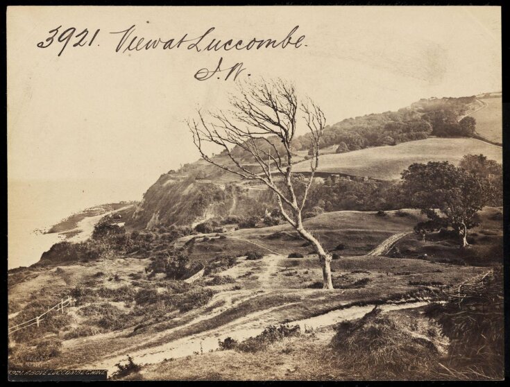 View at Luccombe.  I.W. top image