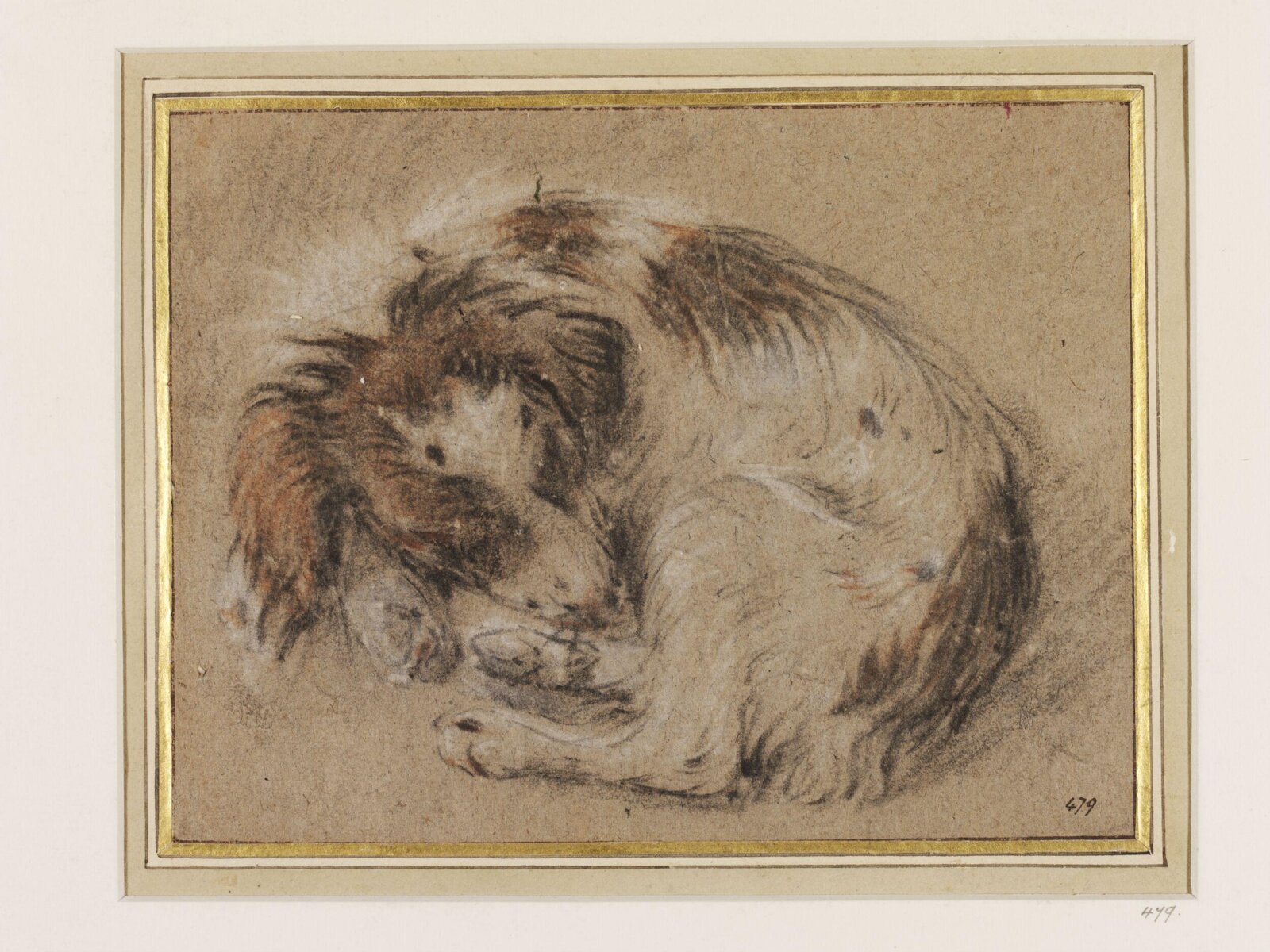 Study of a sleeping spaniel, attributed to Cornelis Saftleven, 17th century