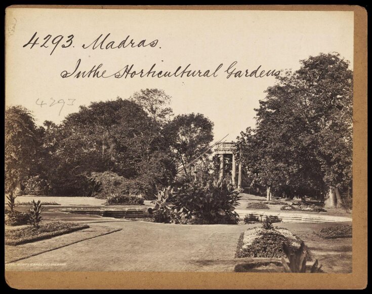 Madras.  In the Horticultural Gardens top image