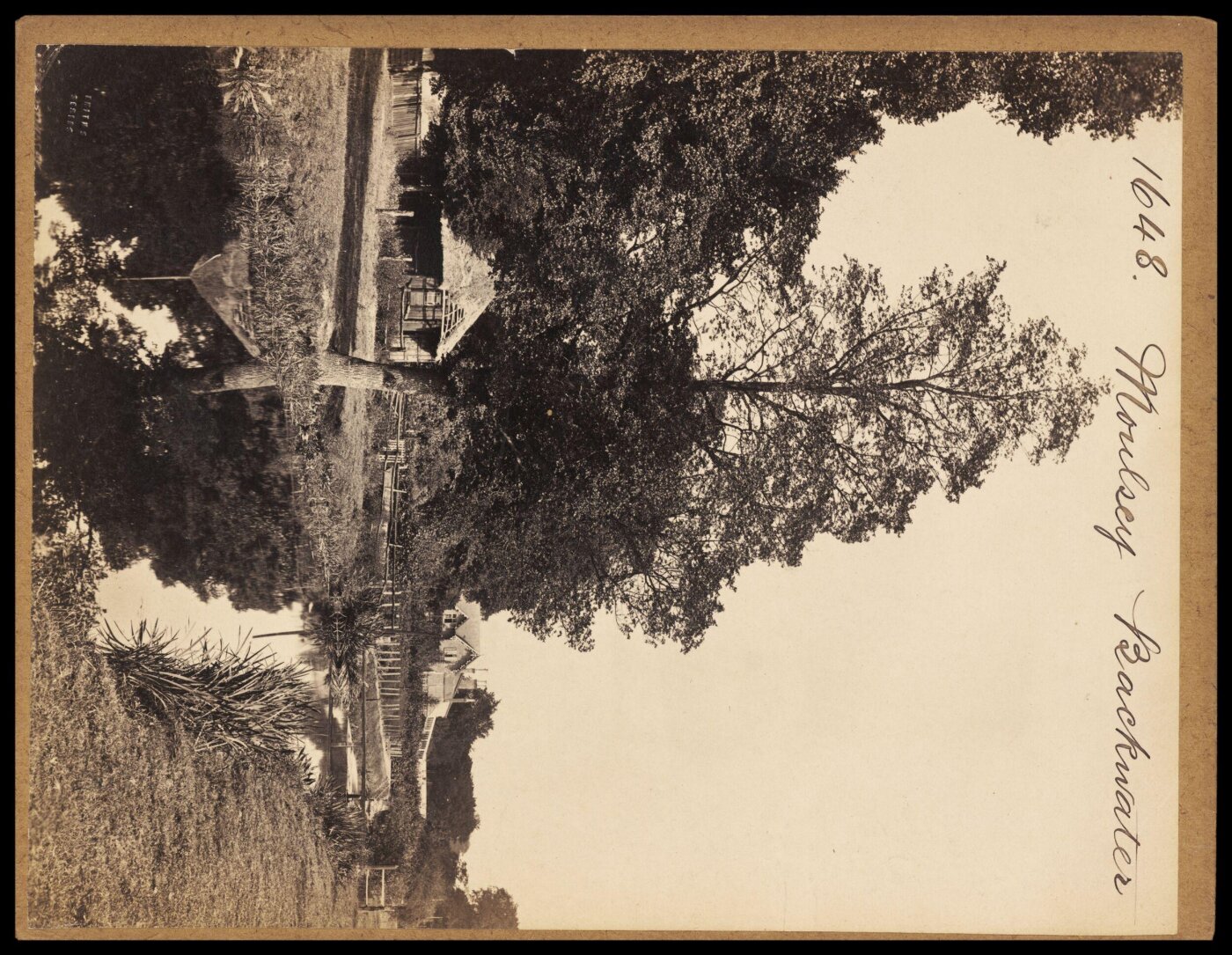 Francis Frith, Moulsey Backwater