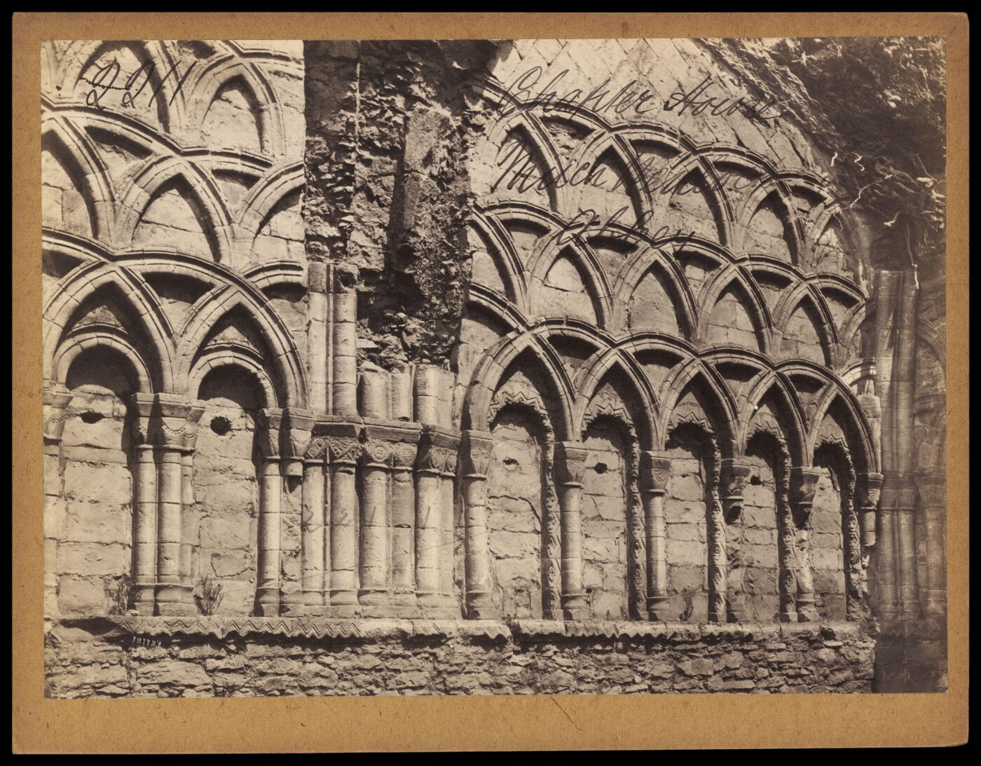 Francis Frith, Chapter House. Much Wenlock Abbey