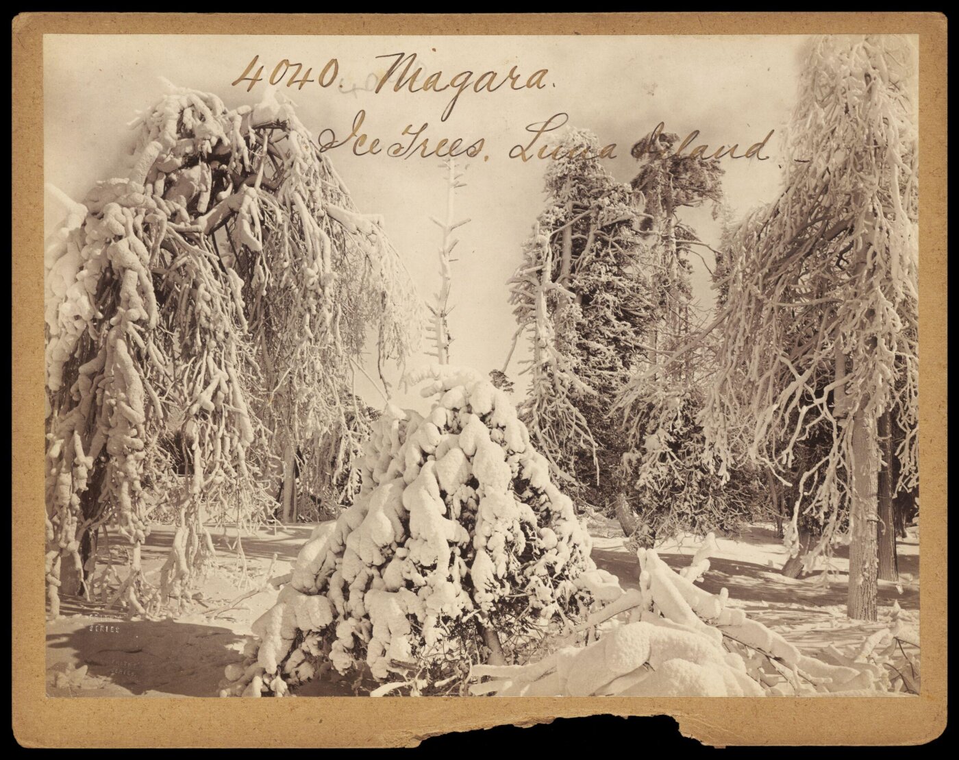 Francis Frith, Niagara.  Ice Trees.  Luna Island