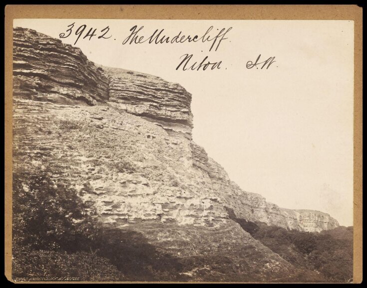 The Undercliff.  Niton.  I.W. top image