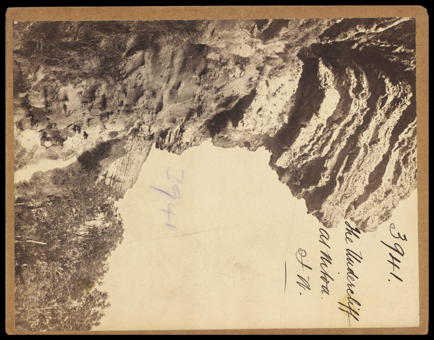 Francis Frith, The Undercliff at Niton. I.W.