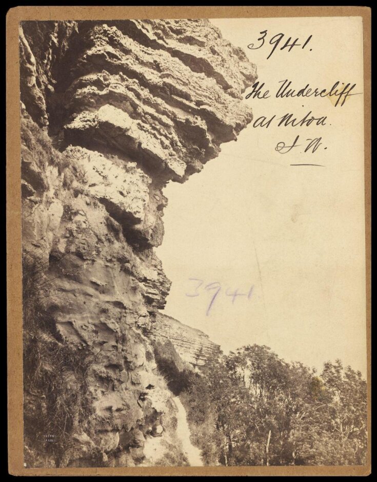 The Undercliff at Niton.  I.W. top image