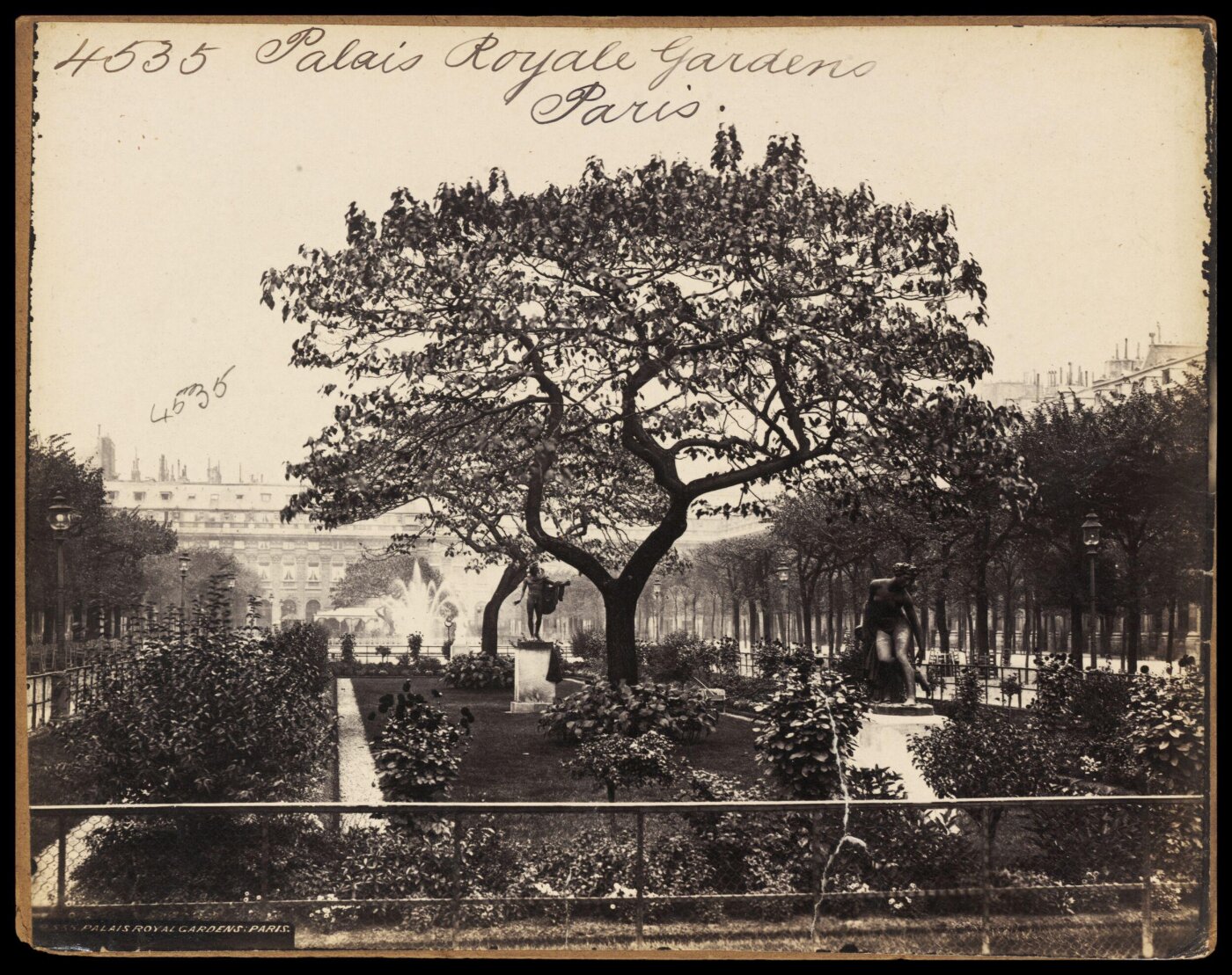 Francis Frith, Photograph