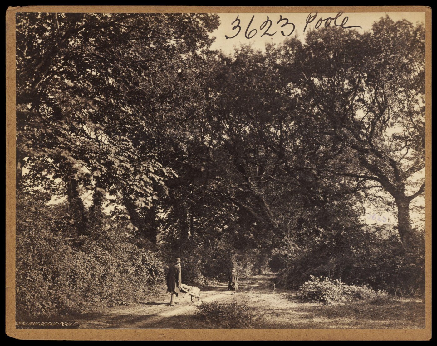 Francis Frith, Photograph
