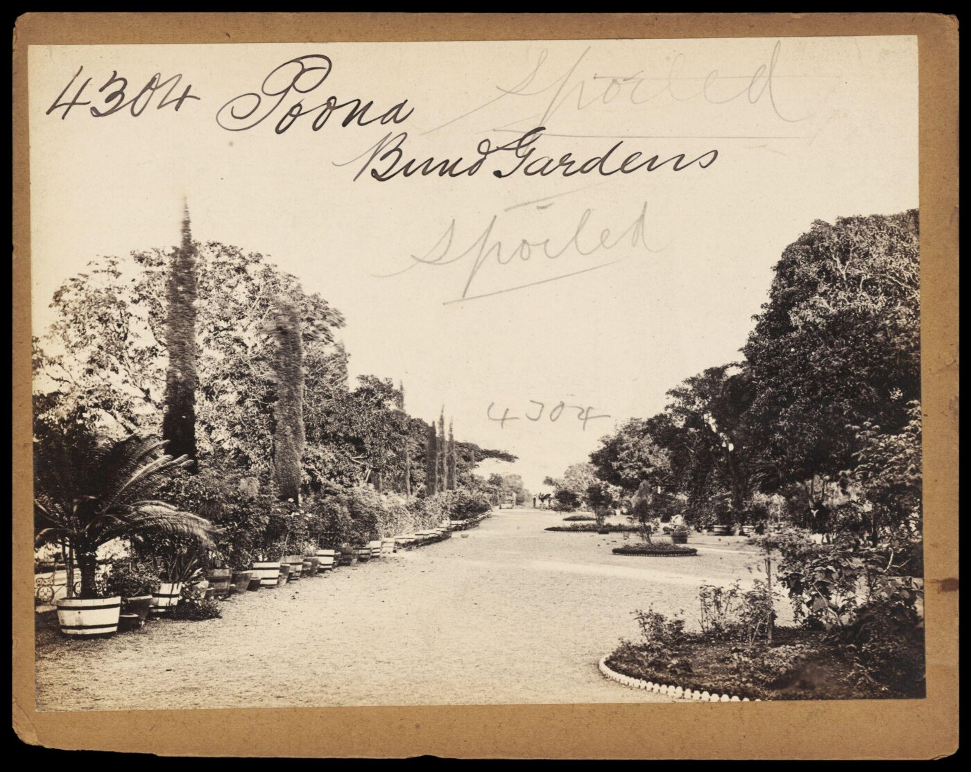 Francis Frith, Photograph