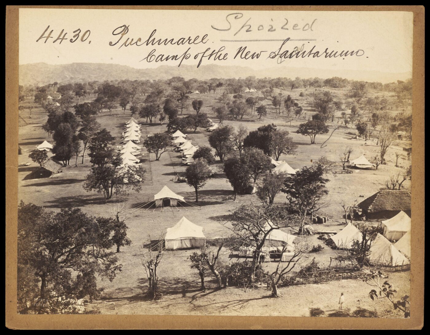 Francis Frith, Photograph