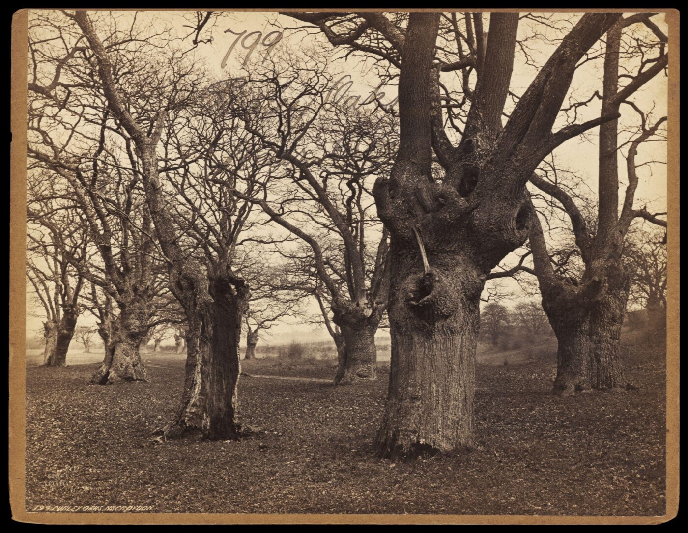 Francis Frith, Photograph