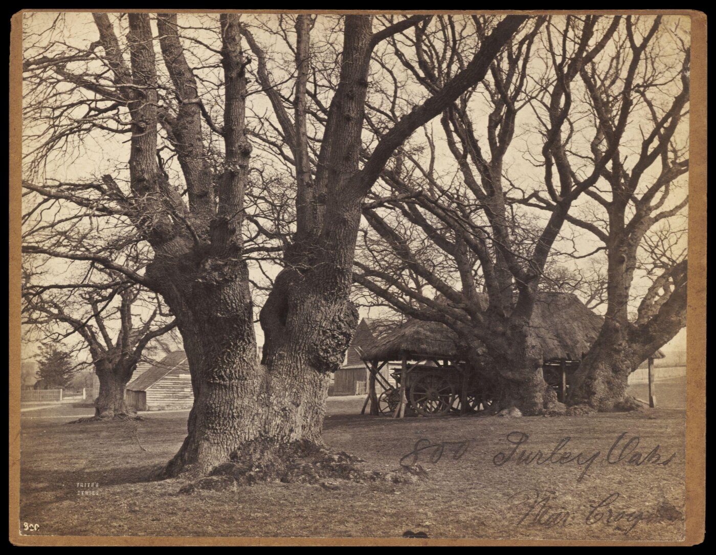 Francis Frith, Photograph
