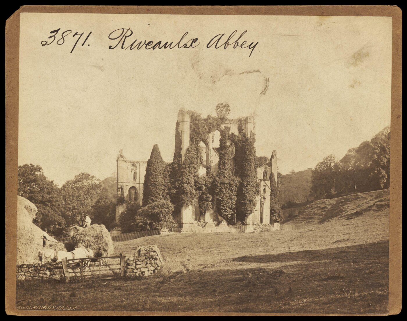 Francis Frith, Photograph