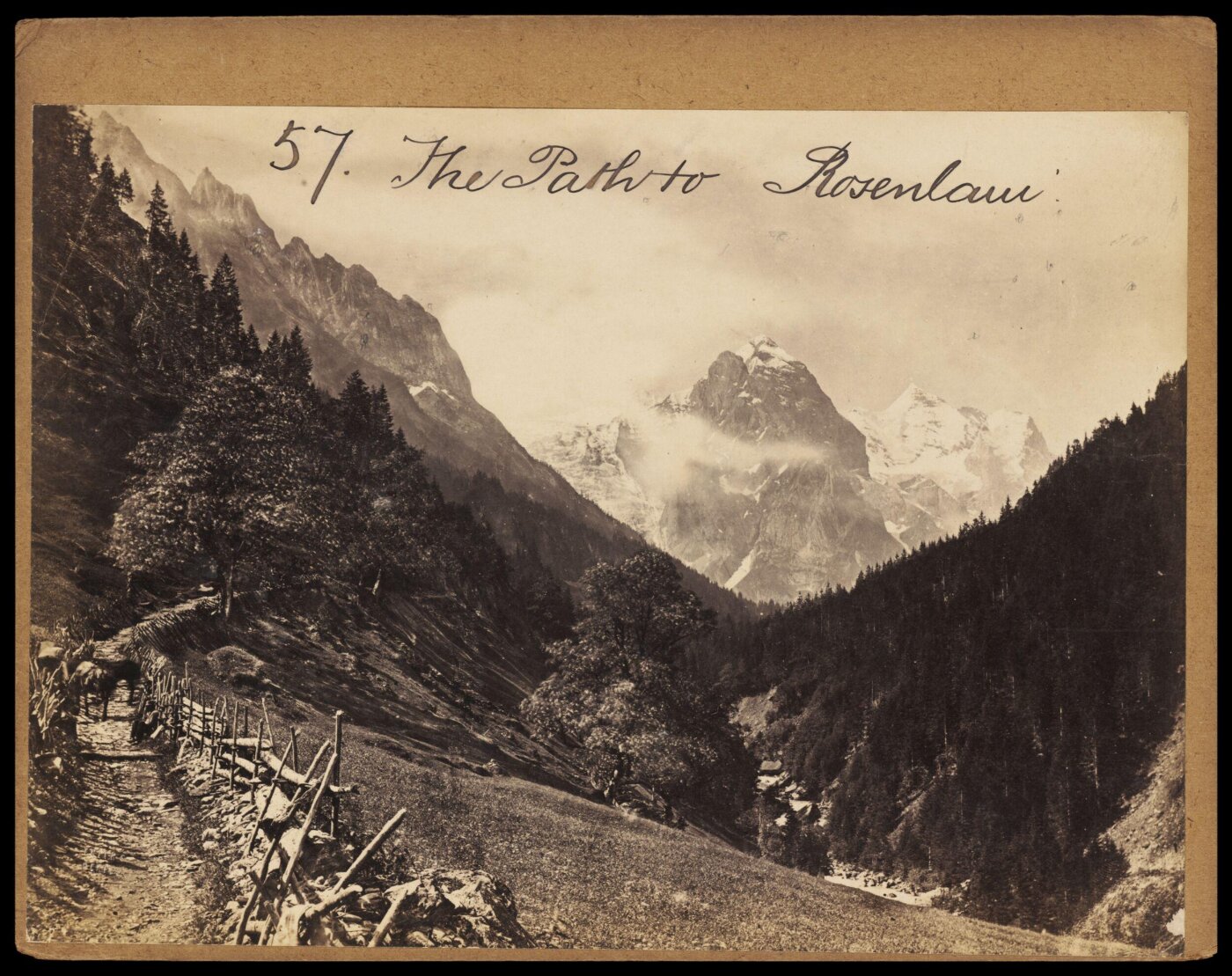 Francis Frith, Photograph