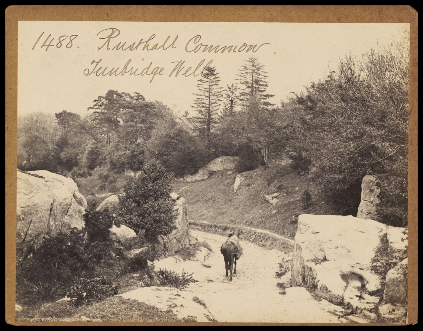 Francis Frith, Photograph