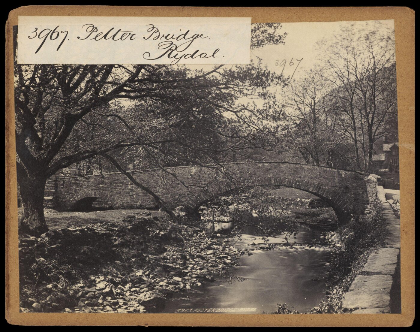 Francis Frith, Photograph