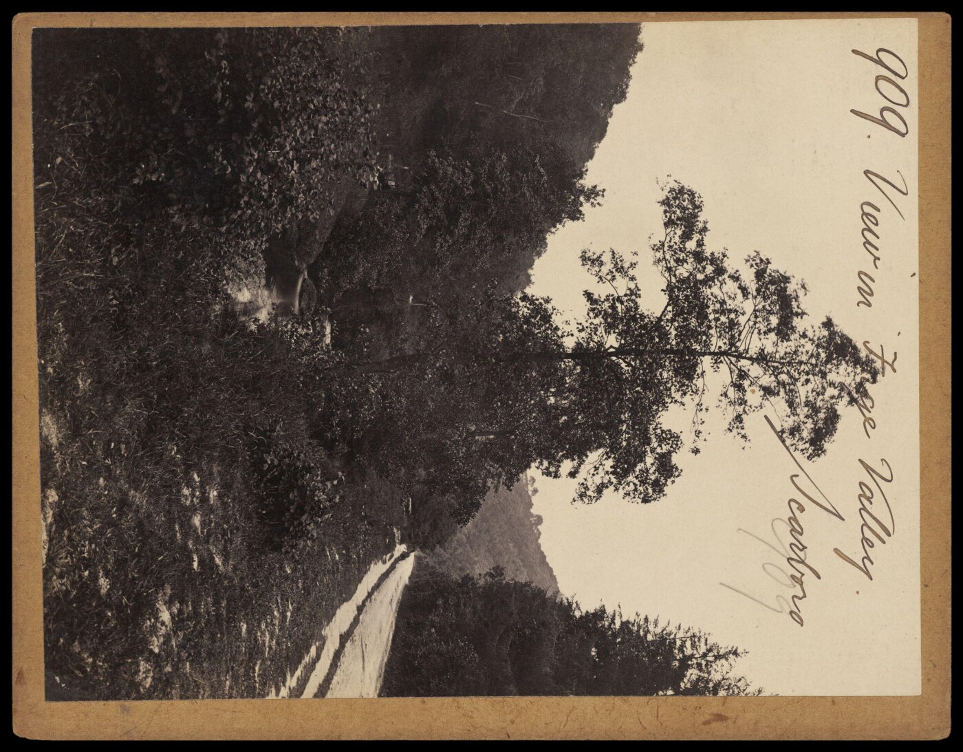 Francis Frith, Photograph