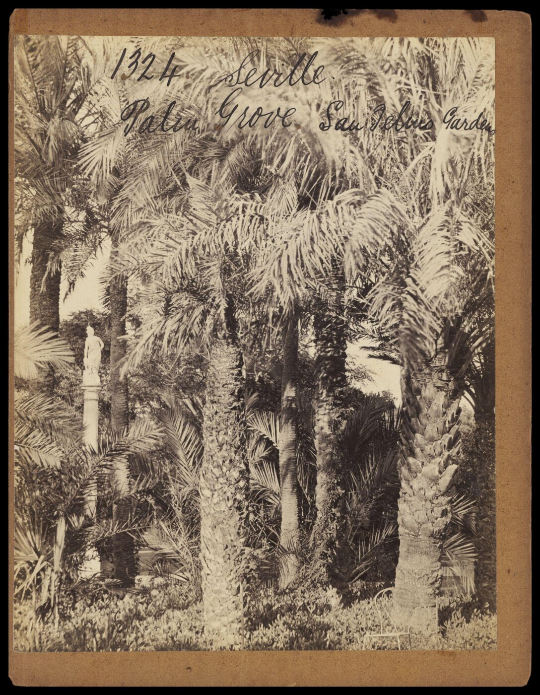 Francis Frith, Photograph