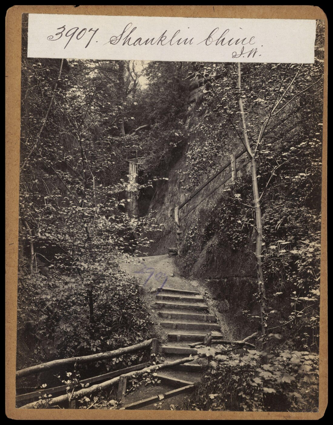 Francis Frith, Photograph