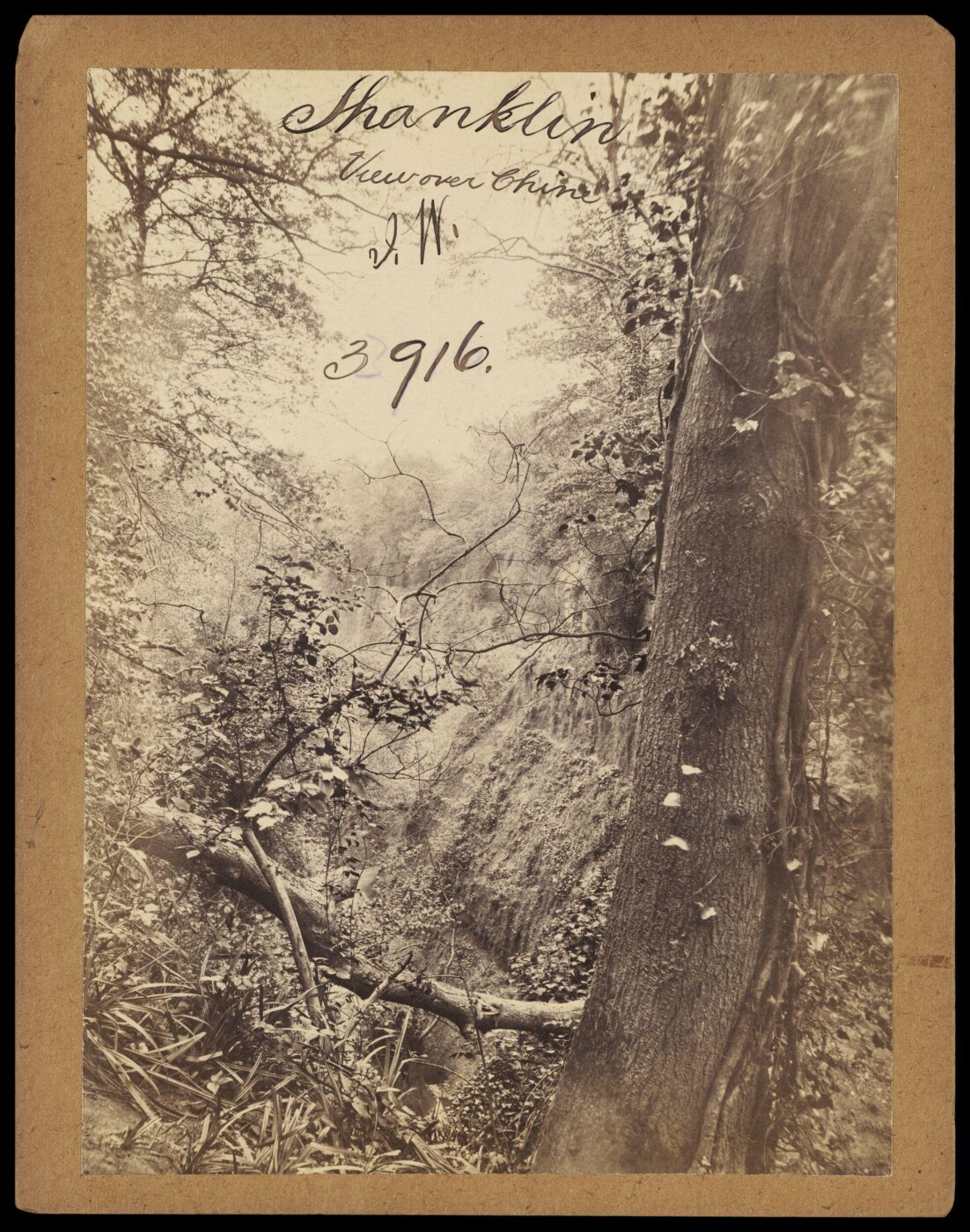 Francis Frith, Photograph