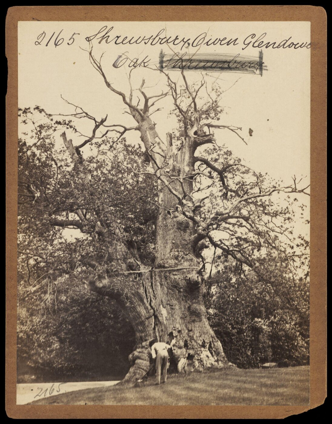 Francis Frith, Photograph